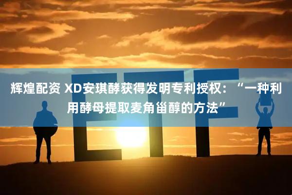 辉煌配资 XD安琪酵获得发明专利授权：“一种利用酵母提取麦角甾醇的方法”