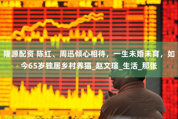 隆源配资 陈红、周迅倾心相待，一生未婚未育，如今65岁独居乡村养猫_赵文瑄_生活_那张