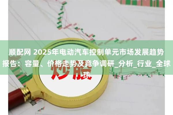 顺配网 2025年电动汽车控制单元市场发展趋势报告：容量、价格走势及竞争调研_分析_行业_全球