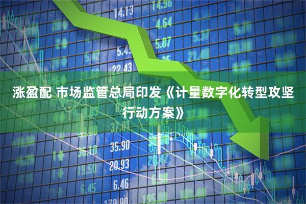 涨盈配 市场监管总局印发《计量数字化转型攻坚行动方案》
